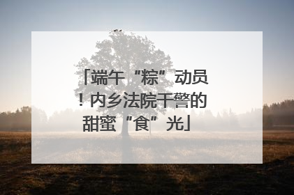 端午“粽”动员！内乡法院干警的甜蜜“食”光