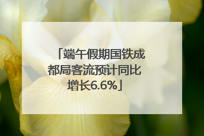 端午假期国铁成都局客流预计同比增长6.6%