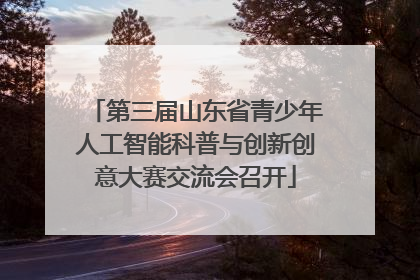 第三届山东省青少年人工智能科普与创新创意大赛交流会召开