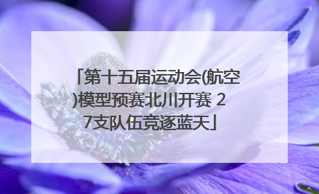第十五届运动会(航空)模型预赛北川开赛 27支队伍竞逐蓝天