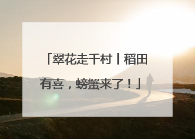 翠花走千村丨稻田有喜，螃蟹来了！