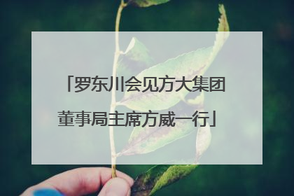 罗东川会见方大集团董事局主席方威一行