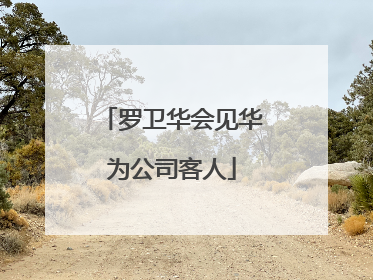罗卫华会见华为公司客人