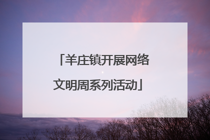 羊庄镇开展网络文明周系列活动