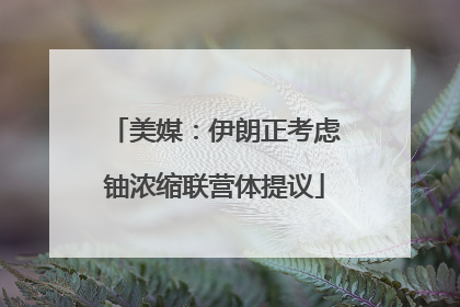 美媒：伊朗正考虑铀浓缩联营体提议