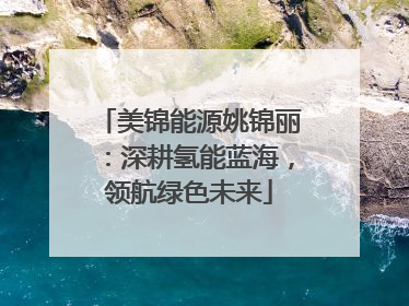 美锦能源姚锦丽：深耕氢能蓝海，领航绿色未来