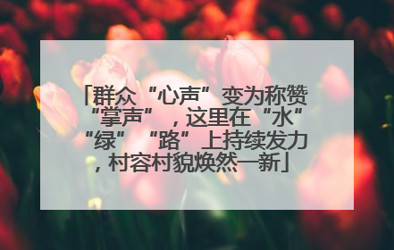 群众“心声”变为称赞“掌声”，这里在“水”“绿”“路”上持续发力，村容村貌焕然一新