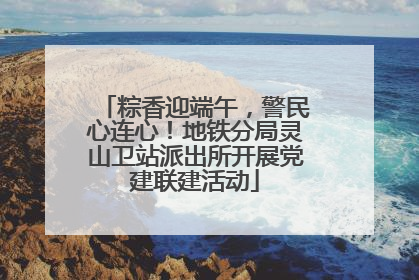 粽香迎端午，警民心连心！地铁分局灵山卫站派出所开展党建联建活动