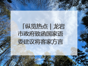 纵览热点｜龙岩市政府致函国家语委建议将客家方言“亻厓”字录入《新华字典》引发热议，当地回应