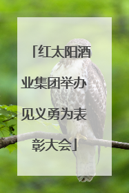 红太阳酒业集团举办见义勇为表彰大会