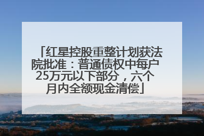 红星控股重整计划获法院批准：普通债权中每户25万元以下部分，六个月内全额现金清偿