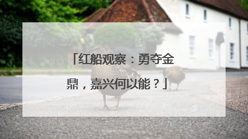 红船观察：勇夺金鼎，嘉兴何以能？