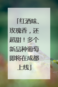红酒味、玫瑰香，还超甜！多个新品种葡萄即将在成都上线