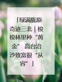 绿满陇原·奇迹三北｜梭梭林里种“黄金” 高台治沙致富很“从容”