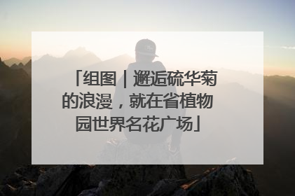 组图｜邂逅硫华菊的浪漫，就在省植物园世界名花广场
