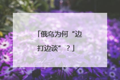 俄乌为何“边打边谈”？