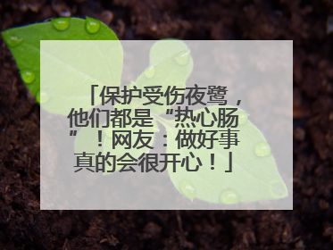 保护受伤夜鹭，他们都是“热心肠”！网友：做好事真的会很开心！