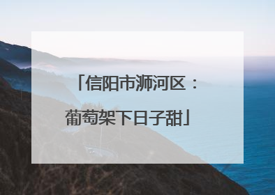 信阳市浉河区：葡萄架下日子甜