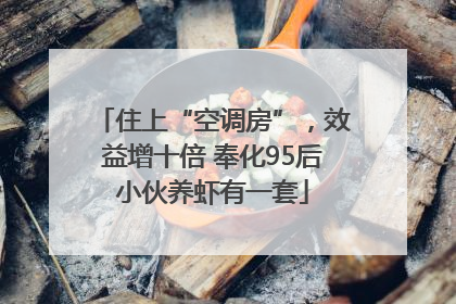 住上“空调房”，效益增十倍 奉化95后小伙养虾有一套