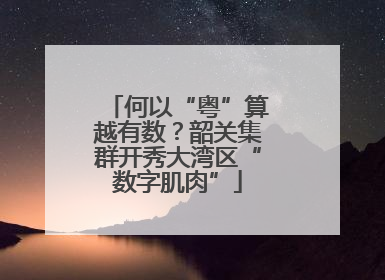 何以“粤”算越有数？韶关集群开秀大湾区“数字肌肉”