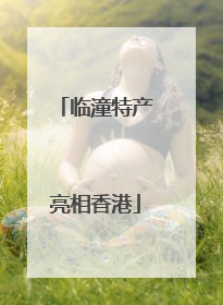 临潼特产亮相香港