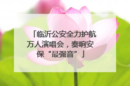 临沂公安全力护航万人演唱会，奏响安保“最强音”