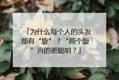 为什么每个人的头发都有“旋”？“两个旋”真的更聪明？