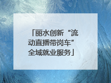 丽水创新“流动直播带岗车”全域就业服务