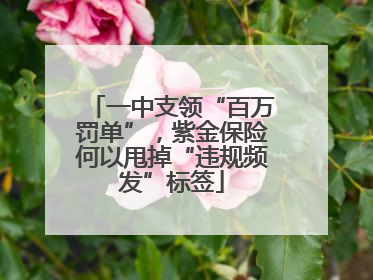 一中支领“百万罚单”，紫金保险何以甩掉“违规频发”标签