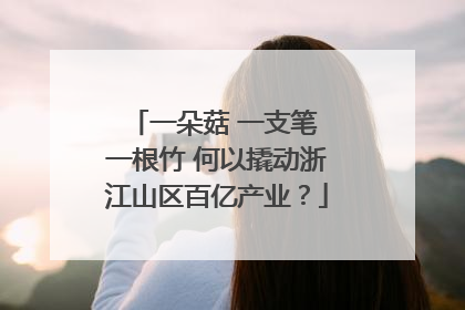 一朵菇 一支笔 一根竹 何以撬动浙江山区百亿产业？