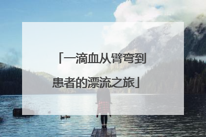 一滴血从臂弯到患者的漂流之旅
