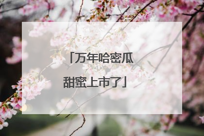 万年哈密瓜甜蜜上市了