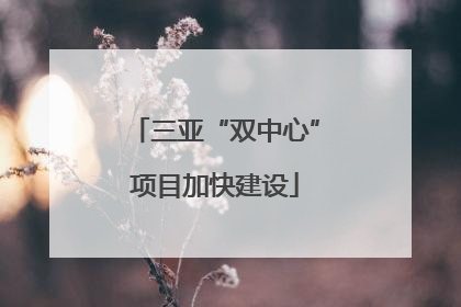 三亚“双中心”项目加快建设