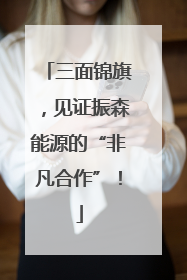 三面锦旗，见证振森能源的“非凡合作”！