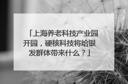 上海养老科技产业园开园，硬核科技将给银发群体带来什么？