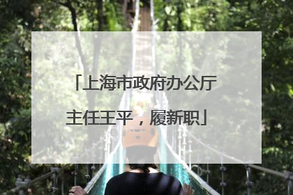 上海市政府办公厅主任王平，履新职