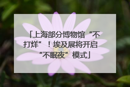 上海部分博物馆“不打烊”！埃及展将开启“不眠夜”模式