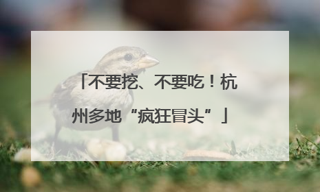 不要挖、不要吃！杭州多地“疯狂冒头”