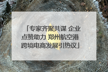 专家齐聚共谋 企业点赞助力 郑州航空港跨境电商发展引热议