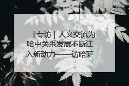 专访｜人文交流为哈中关系发展不断注入新动力——访哈萨克斯坦文化与信息部部长巴拉耶娃