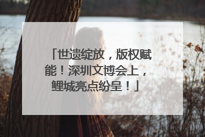 世遗绽放，版权赋能！深圳文博会上，鲤城亮点纷呈！