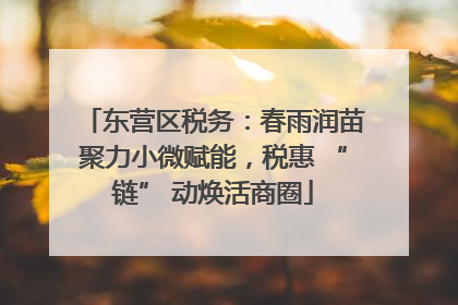 东营区税务：春雨润苗聚力小微赋能，税惠 “链” 动焕活商圈