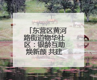 东营区黄河路街道物华社区：银龄互助焕新颜 共建共治暖民心