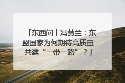 东西问丨冯慧兰：东盟国家为何期待高质量共建“一带一路”？