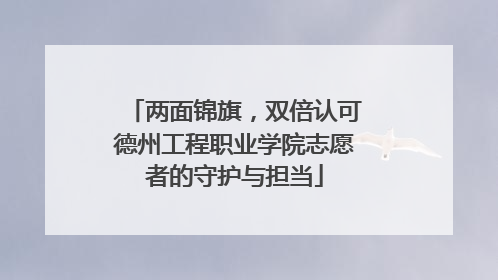 两面锦旗，双倍认可德州工程职业学院志愿者的守护与担当
