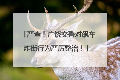 严查！广饶交警对飙车炸街行为严厉整治！