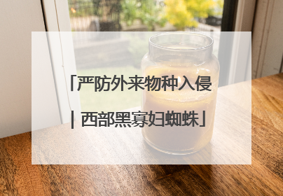 严防外来物种入侵｜西部黑寡妇蜘蛛