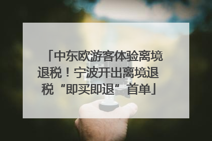 中东欧游客体验离境退税！宁波开出离境退税“即买即退”首单