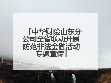 中华财险山东分公司全省联动开展防范非法金融活动专题宣传
