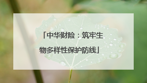 中华财险：筑牢生物多样性保护防线